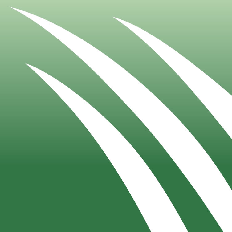 Equine Turf Installation